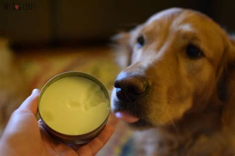 She will eat the delectable normal dry cat biscuits , dreamies or webbox sticks and an occasional slice of ham but she just seems to have gone off wet pouches altogether. Walter's Dog Balm - Soothing a Dry Dog Nose and Cracked Paws
