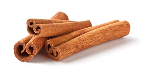 Omg I Just Found Out Where Cinnamon Comes From And Im Shook