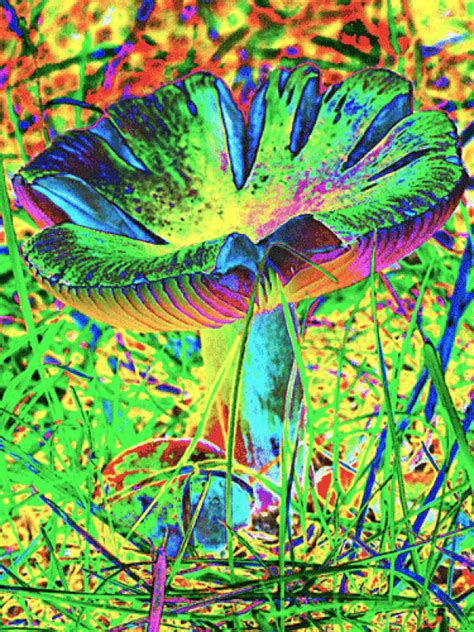 Easy trippy things to draw. Pin by SuperKate Mahoney on GIF | Psychedelic art ...
