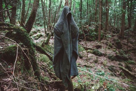 Top 10 Aokigahara Forest Stories About The Haunted Forest In Japan