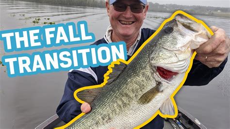 Bass Fishing The Fall Transition 2020 Youtube