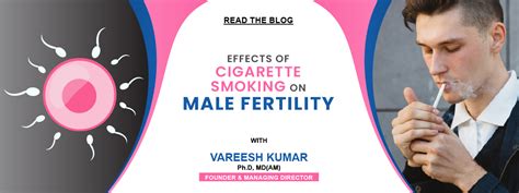 effects of smoking on male fertility vardaan medical centre