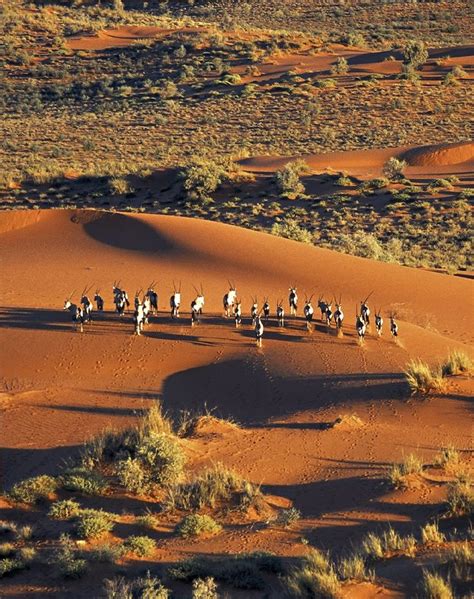 Kalahari Desert Namibia Deserts♥deserts♥deserts Pinterest