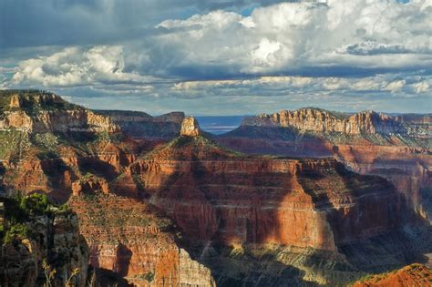 Changing water flow leads to more bugs in Grand Canyon