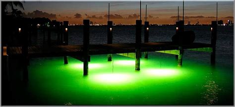 Snook Fishing Dock Lights Shelly Lighting