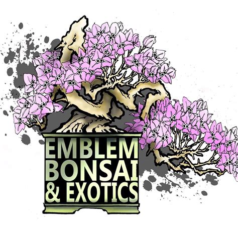 Emblem Bonsai And Exotics Llc Loxahatchee Fl