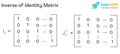 Inverse Of Identity Matrix Formula Examples Order N