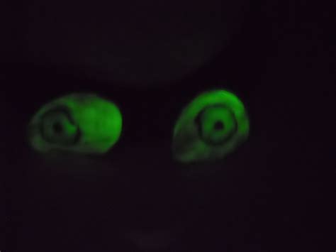 How To Make Glowing Eyes For Halloween Holidappy