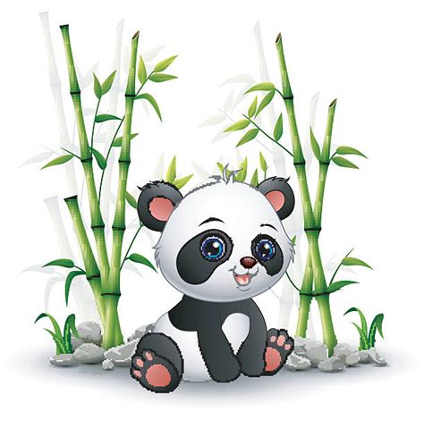 Best Baby Panda Illustrations Royalty Free Vector