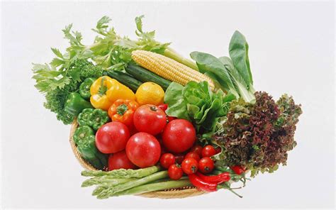 supplier fresh sayur  tangerang supplier fresh sayur  tangerang
