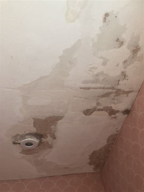 How To Repair A Peeling Bathroom Wall Or Ceiling — Melanie Lissack