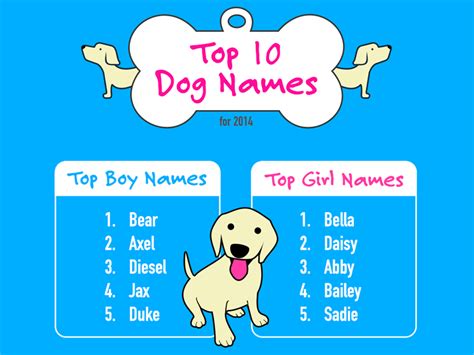 A Good Dog Names