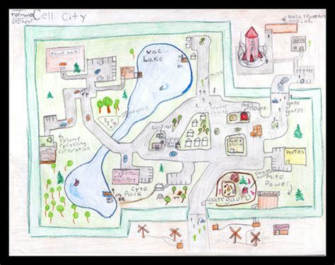Check spelling or type a new query. Cell City Drawing at GetDrawings | Free download