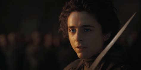 Why Do Pauls Eyes Turn Blue In Dune Answered And Explained The