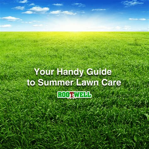 Your Handy Guide To Summer Lawn Care