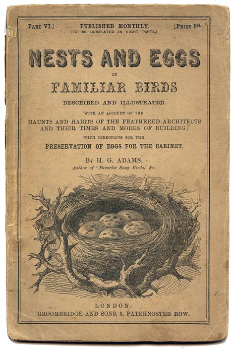 We did not find results for: Antique Ephemera Printable - Nests and Eggs Title Page ...