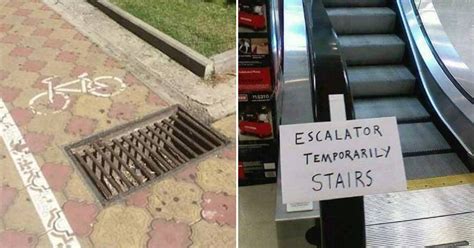 Funny Pictures Guaranteed To Make You Laugh This Morning