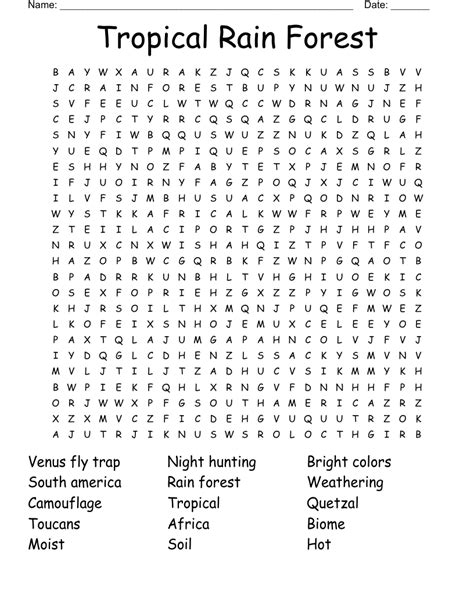 Rainforest Themed Free Printable Word Search Precision Printables Porn Sex Picture