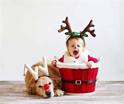 foto navideña de un bebé y un perro fotos navideñas de bebes fotos niños navidad fotos