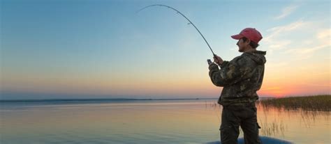 For simplicity, krill is still marked as the bait of choice. How to Find the Best Freshwater Fishing Spots Near You