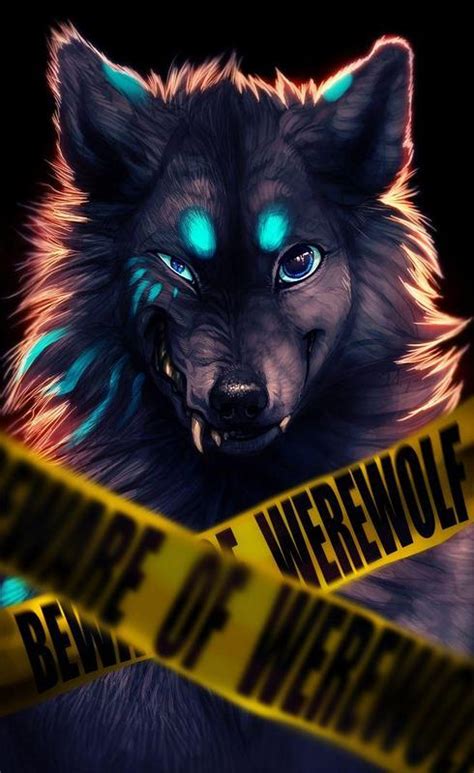 Cool Wolf Wallpapers For Android Apk Download