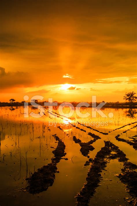 Silhouettes Landscape View Sunset Water Reflection Stock Photo