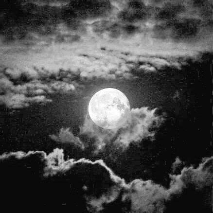 Check out this black and white portrait! #black #white #grey #aesthetic #moon #sky #photo # ...