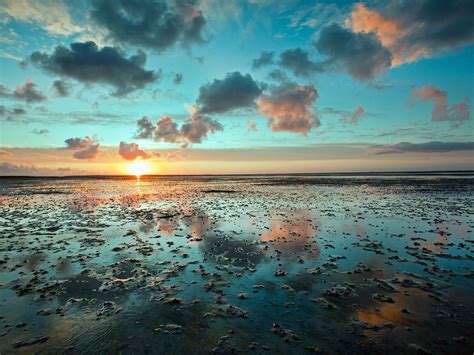 Frisian Island Beach Ocean Sea Reflection Sunset Sunrise Sky