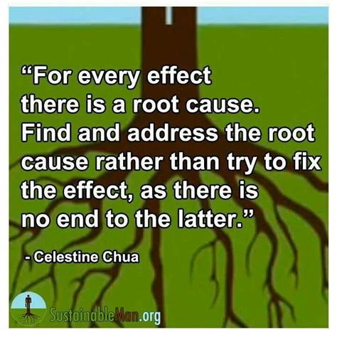 Find The Root Cause To Move Past The Problem Quotable Quotes Wisdom