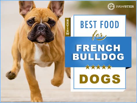 Best Dog Foods For Audit And Puppy French Bulldogs Pawster