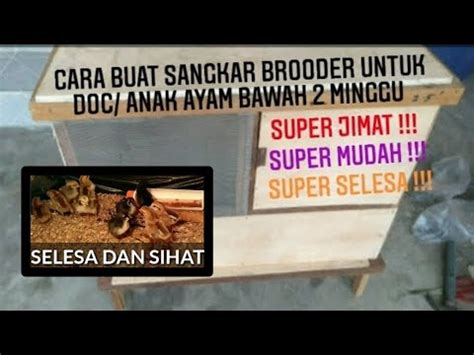 Sekali lagi, untuk model kandang yang rumit misal untuk peternakan dalam skala yang besar, sangat dianjurkan untuk langsung berkonsultasi dengan tukang yang sudah berpengalaman. Cara membuat brooder/ sangkar anak ayam mudah dengan kos ...