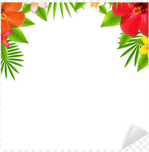 Hawaiian Flower Border Png Browse And Download Hd Hawaiian Flower Png