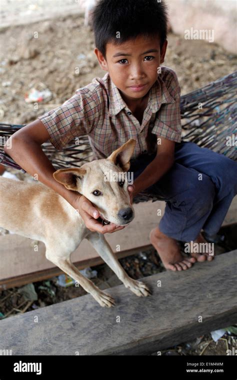 The Boy With A Dog Hi Res Stock Photography And Images Alamy