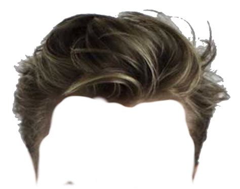 Male Wig Png