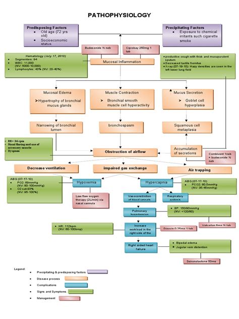 Flow Chart Pathophysiology Of Uti