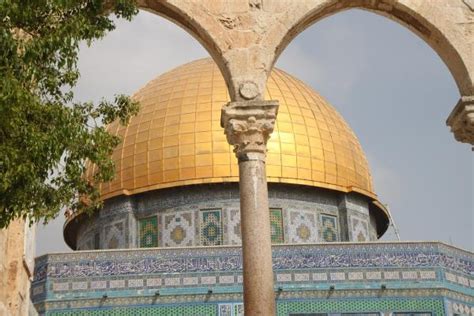 For example, between january 29th and 30th, the price rose 18% in one day, from $32,000 to $38,000, and then fell 13% the next day back to $33,000. 2021: Palestine's Chance of Fighting Back | Freepress.org