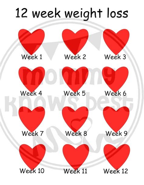 12 Week Weight Loss Tracker Chart Slimming Log Planner Weekly Plan