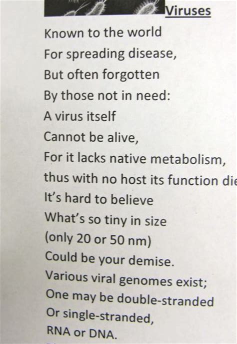 Mitosis Poems
