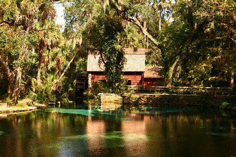 5 Things To Do In Ocala National Forest Florida Rambler