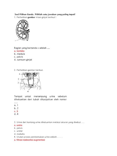 Logis ide atau pesan yang disampaikan melalui bahasa indonesia ragam ilmiah dapat diterima akal. Soal Pilihan Ganda GINJAL