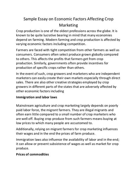Economics Summary Essay Example