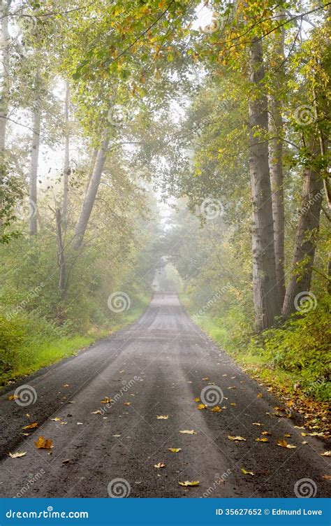 Foggy Country Lane Stock Photo Image Of Misty Country 35627652