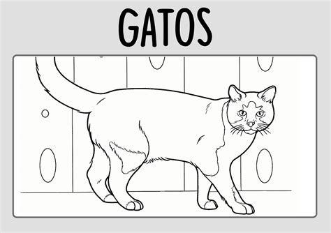 DIBUJOS de GATOS para Colorear | PACK de Láminas de Gatos