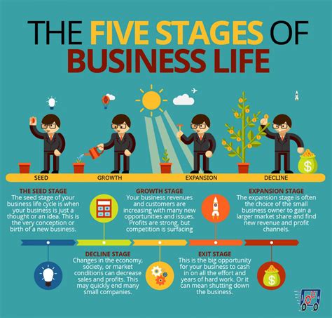 5 Stages Of Business Life Small Business Organization Business