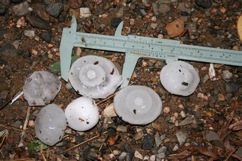 Hailstorm Information Hailstorm Forecasts