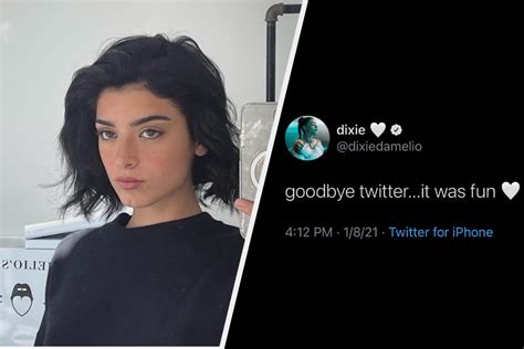 Heres Why Dixie Damelio Deleted Her Twitter Account