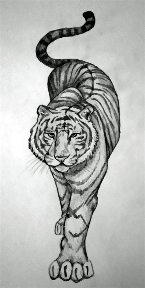 Pin By Carrie Campbell On Tattoo Ideas Tiger Tattoo Design Animal