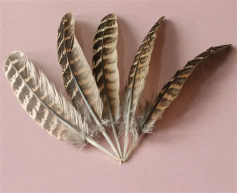 Free Shipping Wholesale 50pcs High Quality Natural Turkey Feathers 12