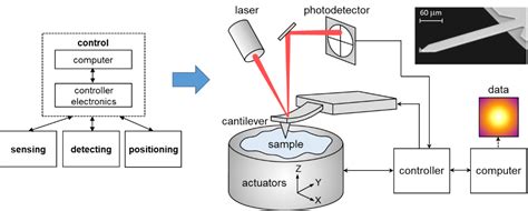 Atomic Force Microscopy An Overview From Asylum Research