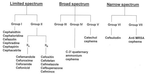 Classification Of Parenteral Cephalosporins According To The